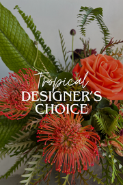 DESIGNER'S CHOICE TROPICAL