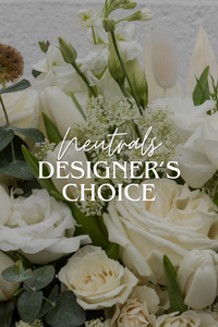DESIGNER'S CHOICE NEUTRALS