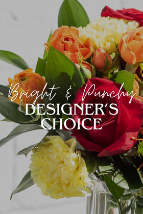 DESIGNER'S CHOICE BRIGHT & PUNCHY