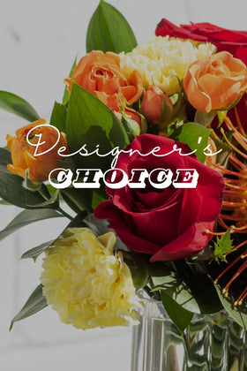 DESIGNER'S CHOICE BRIGHT & PUNCHY
