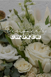 DESIGNER'S CHOICE NEUTRALS