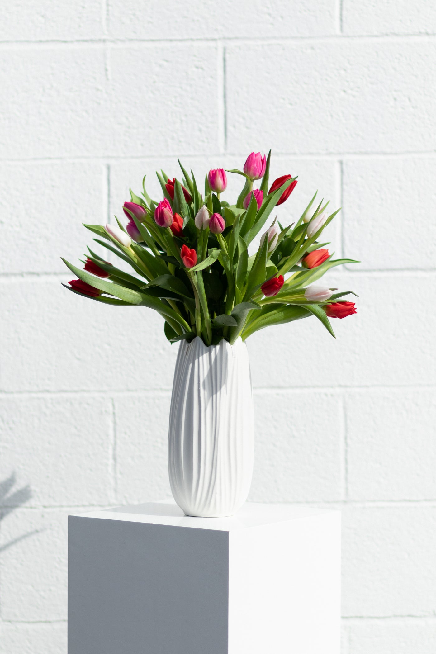 KISSED BY TULIPS